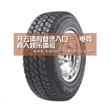 开云体育登录入口产品名称七