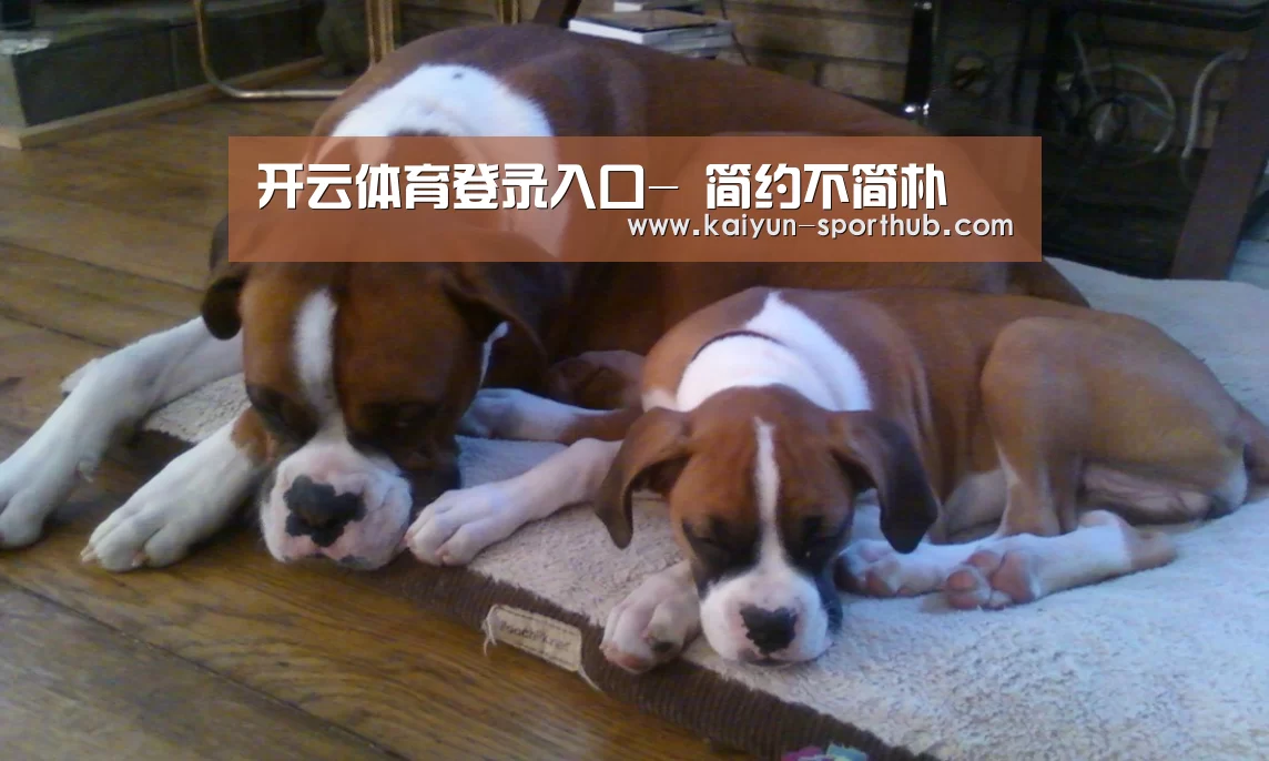 开云体育登录入口-
简约不简朴(图3) 开云体育登录入口