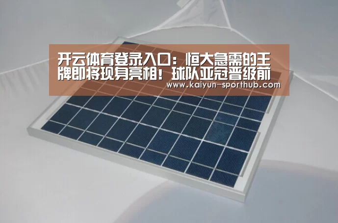 开云电竞官网