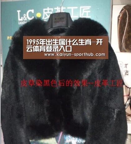 开云体育登录入口