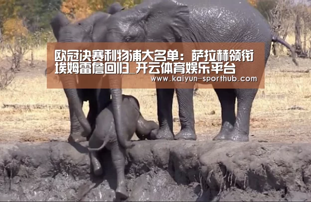 欧冠决赛利物浦大名单:萨拉赫领衔埃姆雷詹回归_开云体育娱乐平台(图3) 开云电竞官网